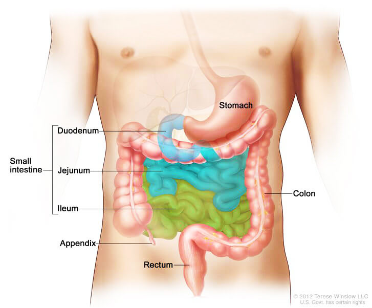 GI Cancer Surgeon | gicanerindia.com GI Cancer Surgeon | gicanerindia.com